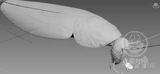 3D打印蟑螂小強(qiáng)誕生記(超精細(xì)) 妹紙膽小也可入
3D打印蟑螂,3D打印小強(qiáng),3D打印技術(shù),3D打印服務(wù),3D打印平臺(tái),e鍵打印