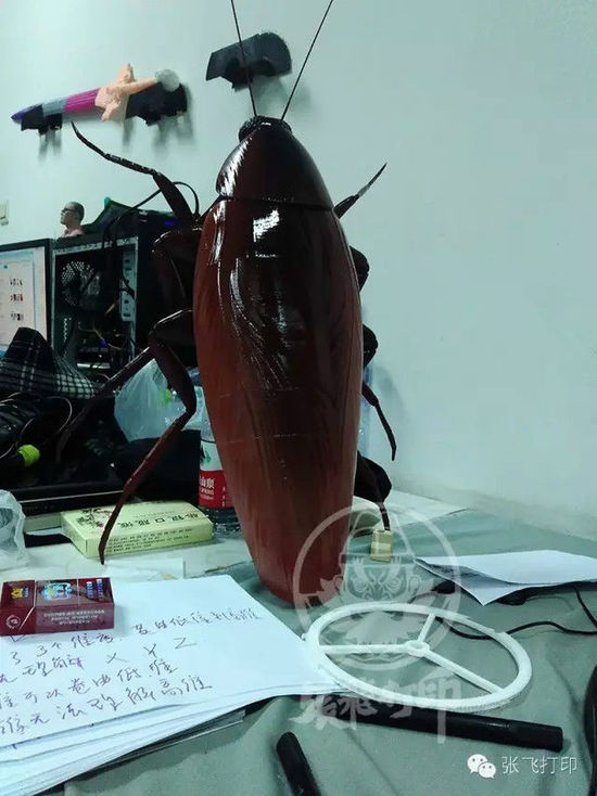 3D打印蟑螂小強(qiáng)誕生記(超精細(xì)) 妹紙膽小也可入
3D打印蟑螂,3D打印小強(qiáng),3D打印技術(shù),3D打印服務(wù),3D打印平臺(tái),e鍵打印