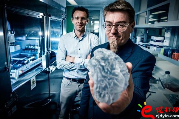 生物3d打印,生物3d打印技術,生物3d打印技術,生物3d打印材料,生物3d打印發(fā)展,3D打印心臟,3D打印服務