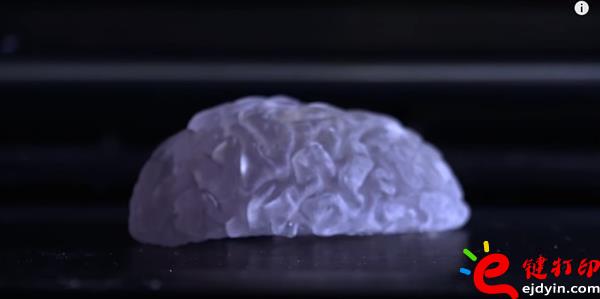 生物3d打印,生物3d打印技術,生物3d打印技術,生物3d打印材料,生物3d打印發(fā)展,3D打印心臟,3D打印服務